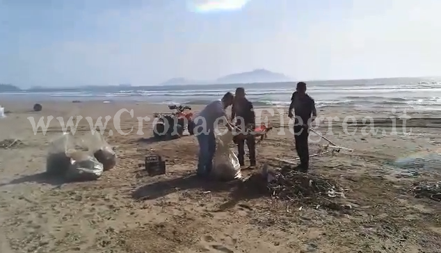 POZZUOLI/ Volontari in azione sulla spiaggia di Licola: continua la rimozione dei rifiuti