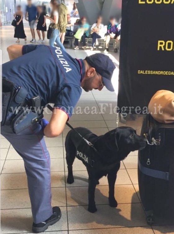 Controlli della Polizia Ferroviaria, passeggeri ai “raggi x”