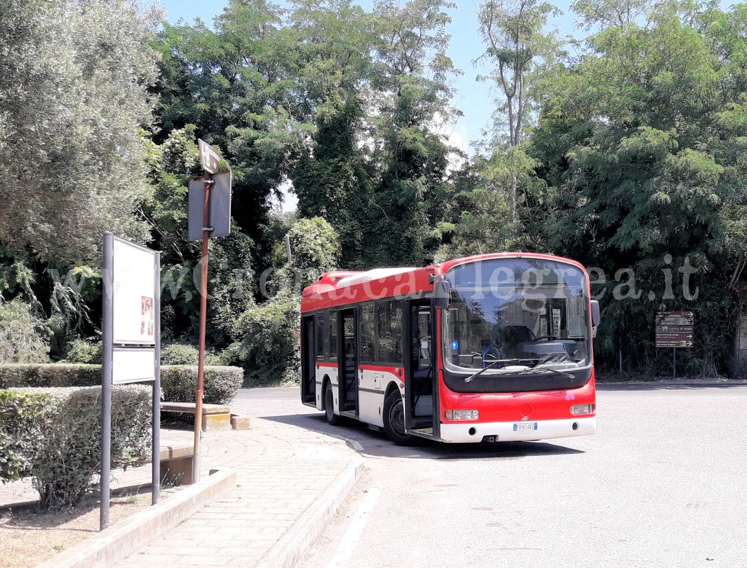 Archeobus, Figliolia non ci sta e attacca De Gregorio: «Mi muove delle critiche inopportune, fuoriluogo e con falsità»