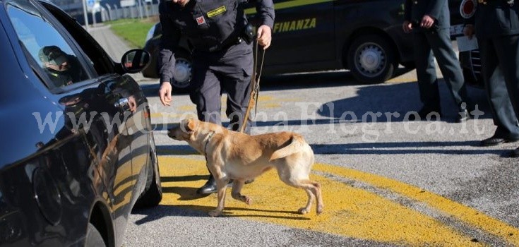 Dai Campi Flegrei a Perugia in bus con un carico di eroina: corriere in manette