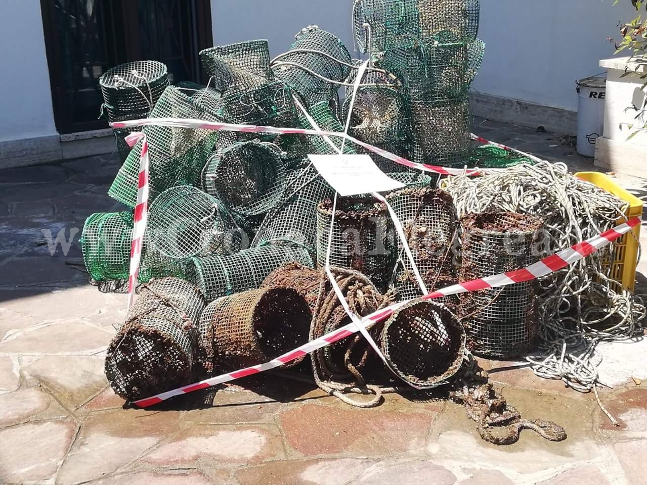 BACOLI/ Pesca illegale nell’Area Marina Protetta: blitz della Guardia Costiera