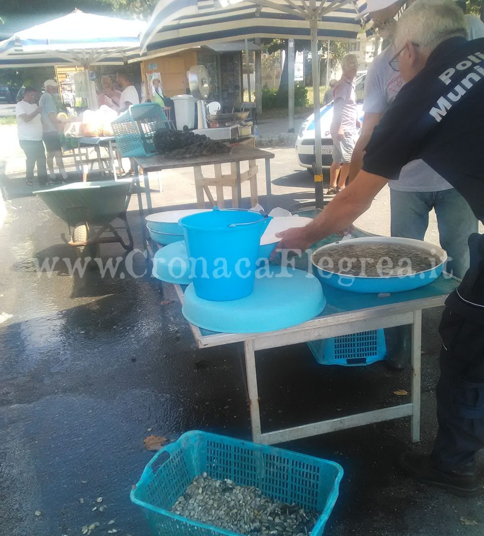 POZZUOLI/ Blitz della Municipale: sequestrati frutti di mare e mitili venduti abusivamente