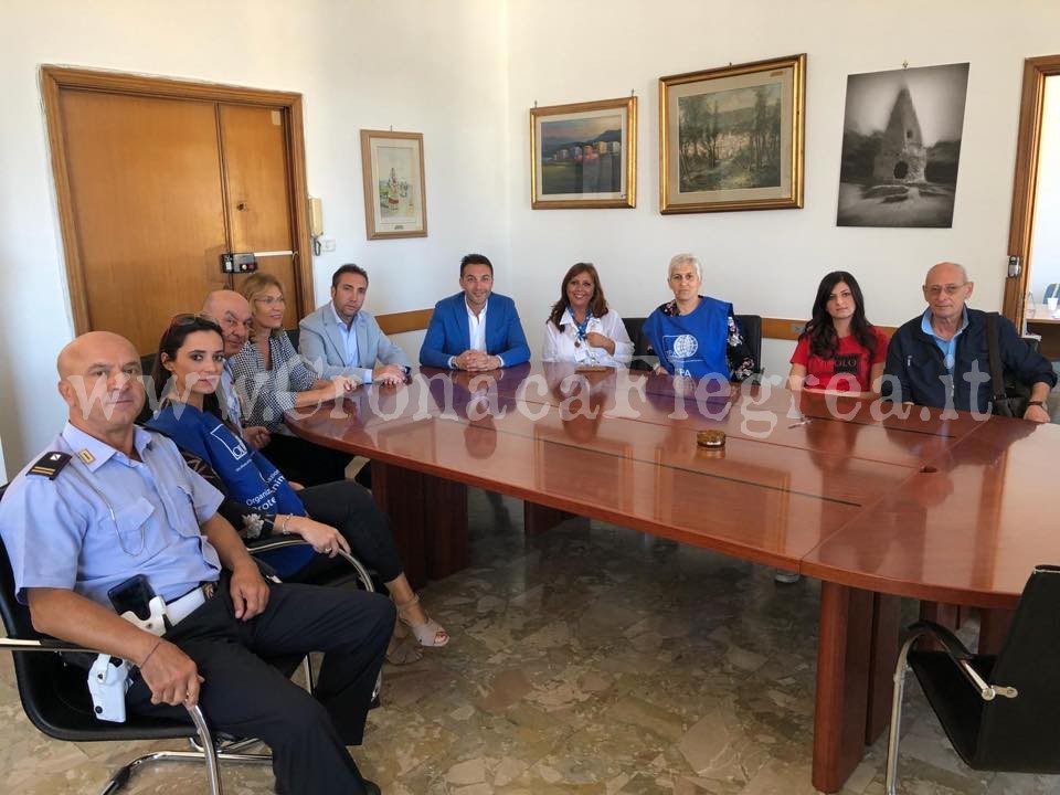 QUARTO/ Cani randagi in strada, partono i controlli sul territorio