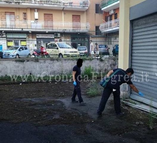 QUARTO/ Il Comune risponde “presente”: dopo le segnalazioni arrivano gli interventi in città