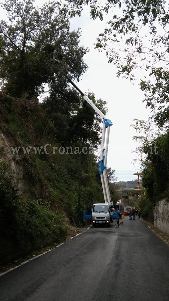 QUARTO/ Alberi pericolanti in via Pisani: interrotta la circolazione