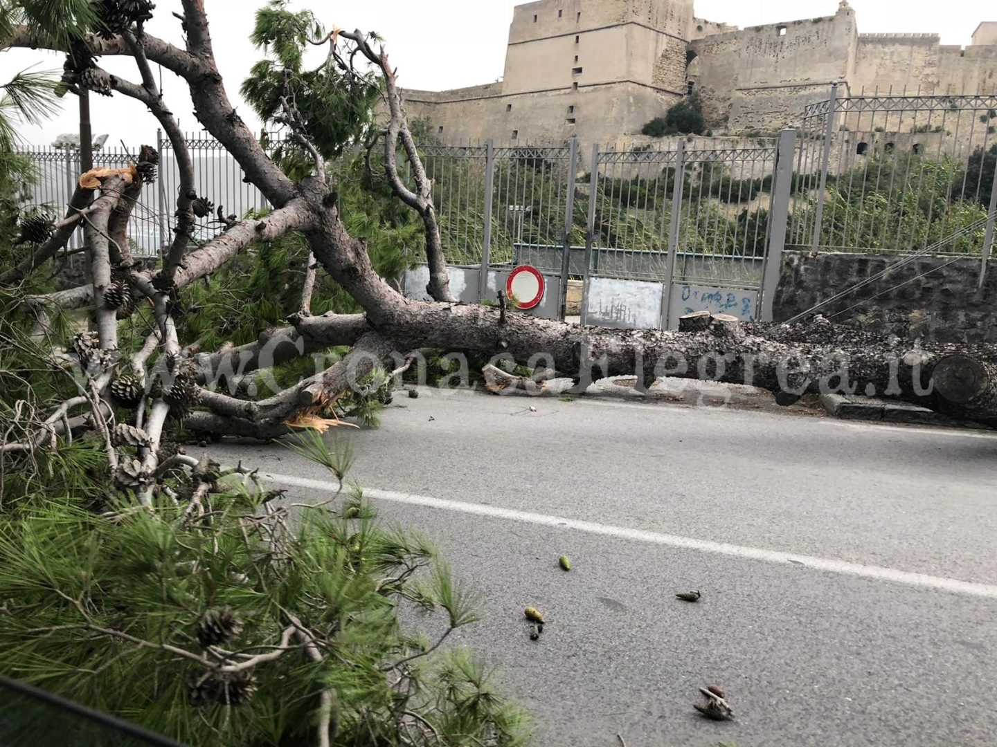 BACOLI-MONTE DI PROCIDA/ Alberi tirati giù dal vento, auto miracolosamente sfiorate – LE FOTO