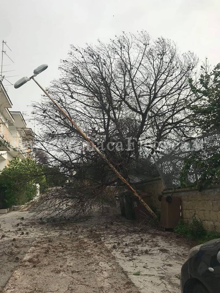 Temporali e vento forte in arrivo sui Campi Flegrei: da stasera scatta l’allerta meteo