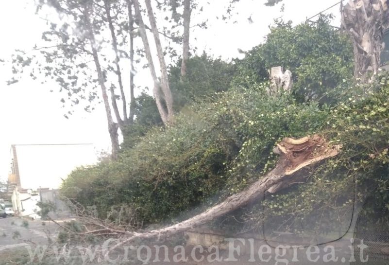 Maltempo, allerta meteo prorogata fino alle 6 di domenica mattina in tutti i Campi Flegrei