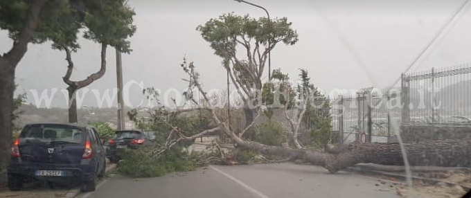 Maltempo, nuova allerta meteo nei Campi Flegrei: previsti temporali e raffiche di vento