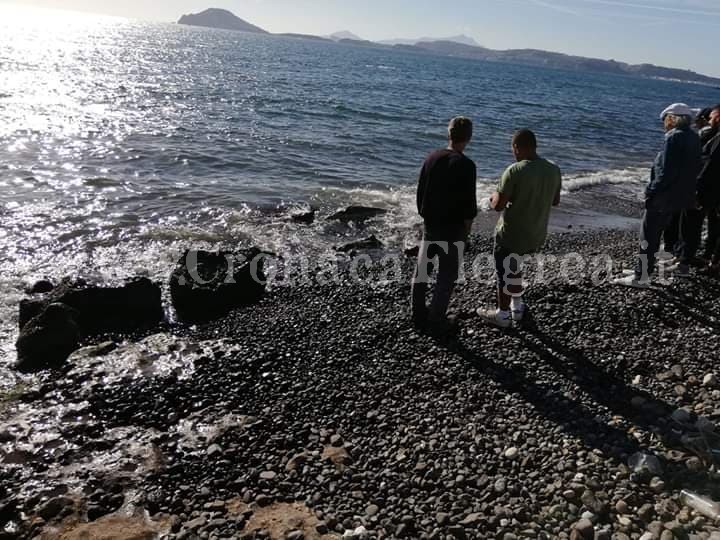 POZZUOLI/ Trovato un delfino morto sulla spiaggia di via Napoli – LA FOTO