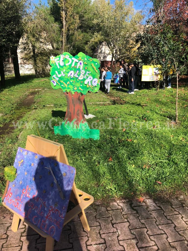 Pozzuoli celebra la festa dell’albero: nuove piante nei cortili delle scuole e nella Villa Avellino