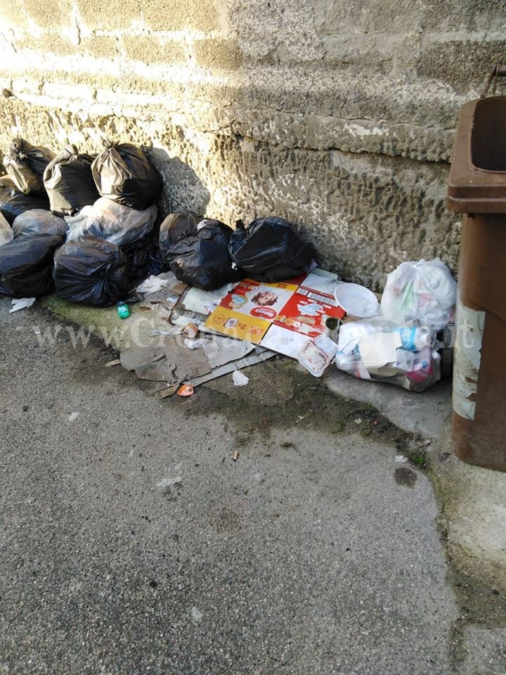 I LETTORI SEGNALANO/ «La De Vizia non raccoglie i rifiuti e li lascia al centro del cortile»