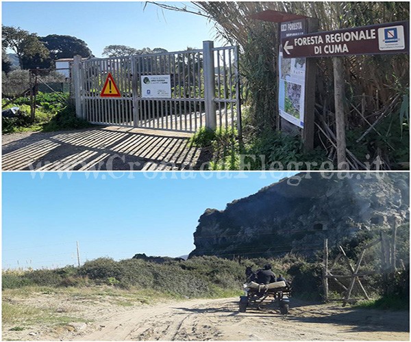 POZZUOLI/ La Foresta di Cuma: chiusa ai turisti ma aperta ai cavallari – IL REPORTAGE