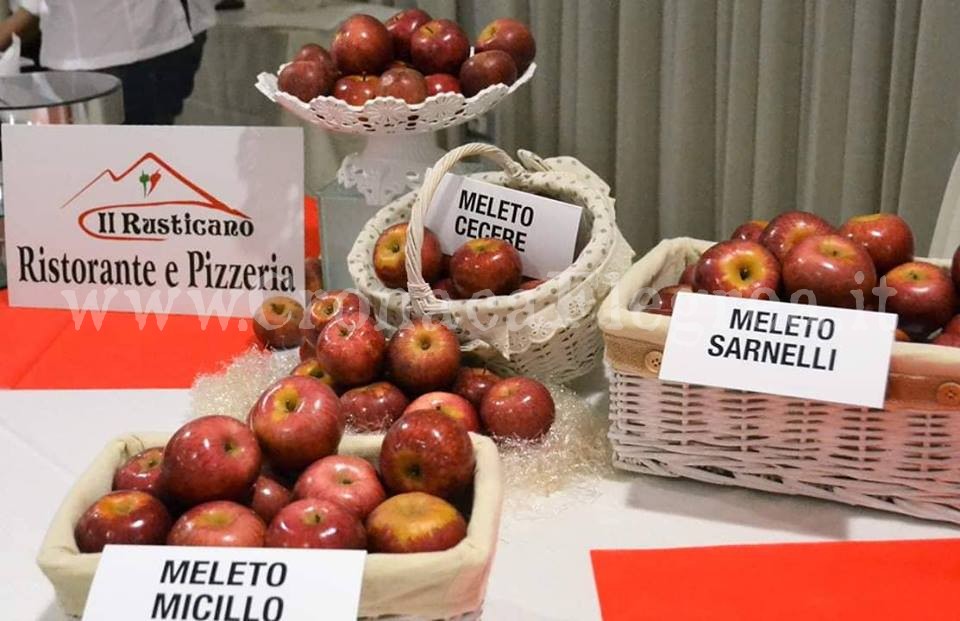 QUARTO/ Il trionfo del gusto e dei sapori al Festival della Mela Annurca