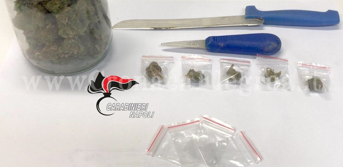 POZZUOLI/ Marijuana sotto il lavello della cucina: arrestato un 32enne di Monterusciello