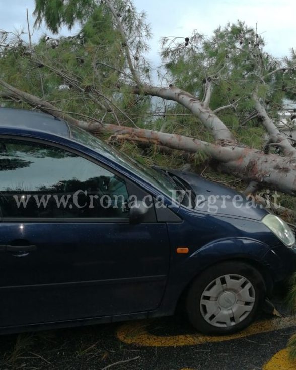 Paura a Pozzuoli: albero finisce su un’auto – LE FOTO