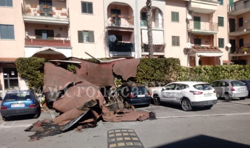 I LETTORI SEGNALANO/ «Ecco il forte vento cosa ha combinato nel mio parco» – LE FOTO