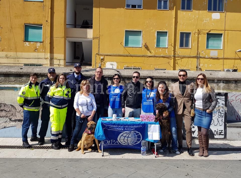 QUARTO/ Decine di cani ‘in coda’ per il microchip gratuito