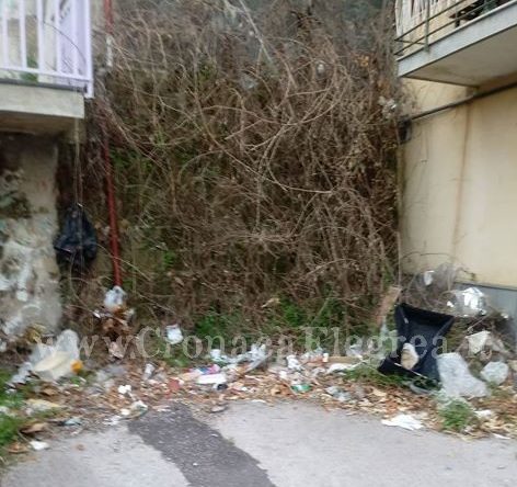 I LETTORI SEGNALANO/ «In questo angolo di Pozzuoli giardinieri e spazzini non si vedono mai»