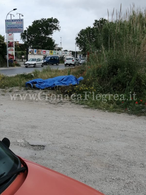 LICOLA/ Cavallo invade la Domiziana: travolto e ucciso da un’auto – LE FOTO