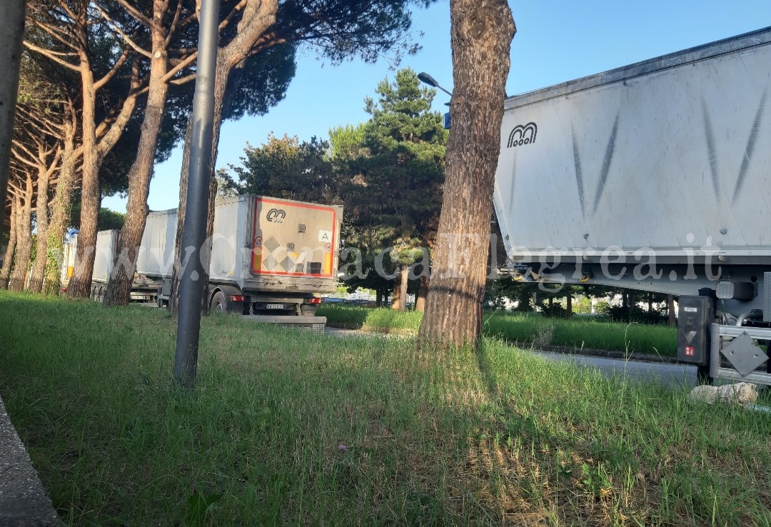 POZZUOLI/ La vergogna si ripete: i depuratori infestano di nuovo Licola