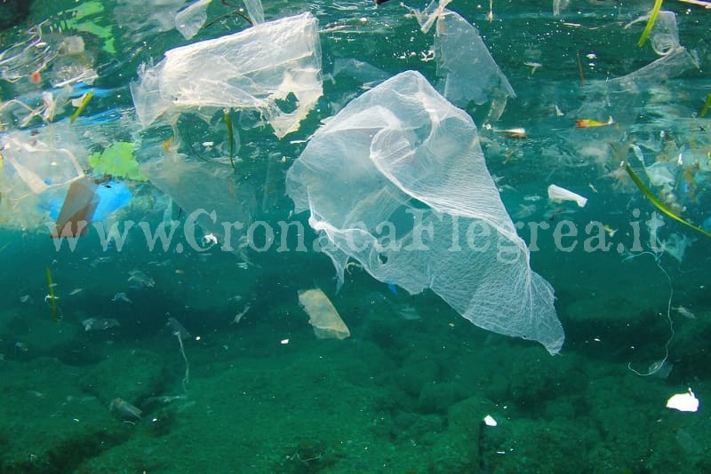 POZZUOLI/ Ristorante dice addio alla plastica monouso “Un atto d’amore verso il mare”