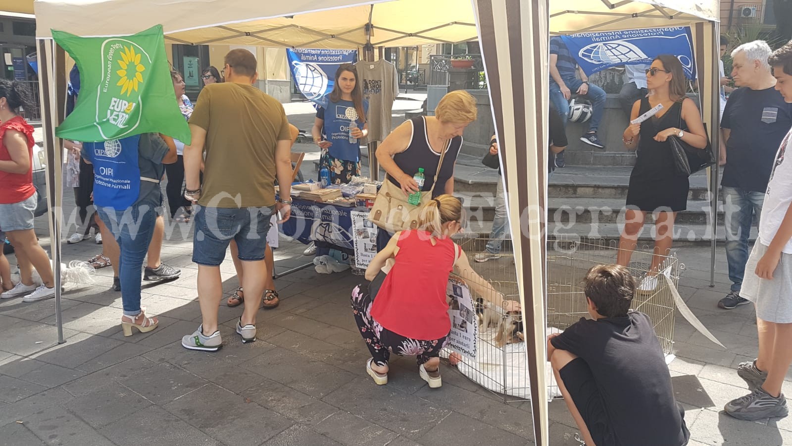 L’INIZIATIVA/ In piazza a Pozzuoli contro l’abbandono estivo degli animali – LE FOTO