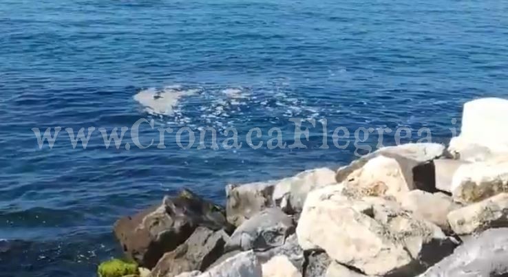 POZZUOLI/ Ancora schiuma sospetta nel mare di via Napoli – IL VIDEO