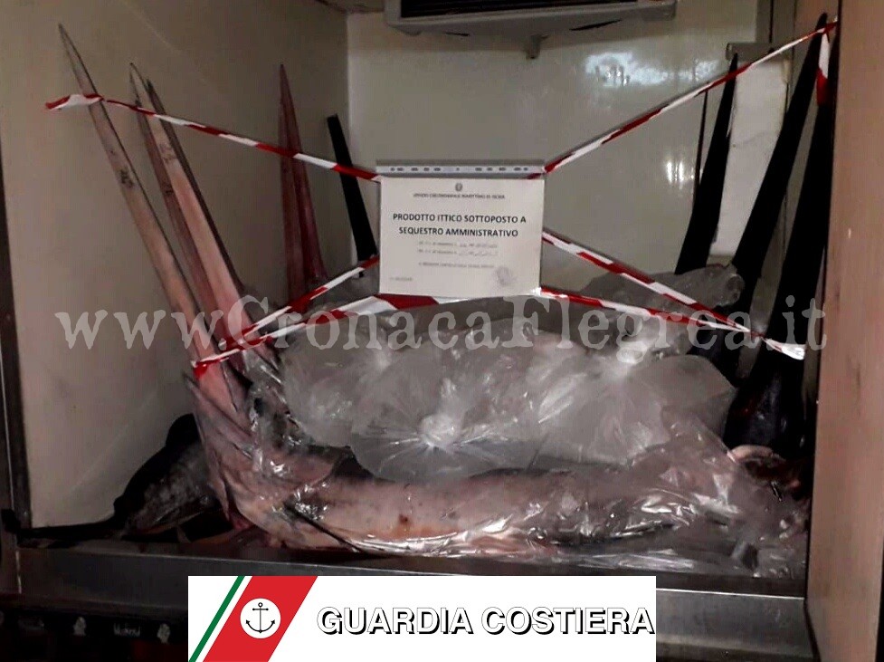 Sequestrati 400 chili di pesce spada: il carico diretto al mercato ittico di Pozzuoli