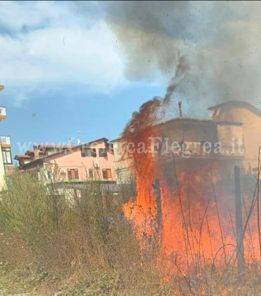 QUARTO/ Fiamme e nube di fumo in via Verga: bruciano erbacce e rifiuti – LE FOTO