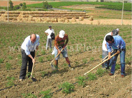 VARCATURO/ Operaio “in nero” muore d’infarto: nei guai il titolare dell’azienda agricola