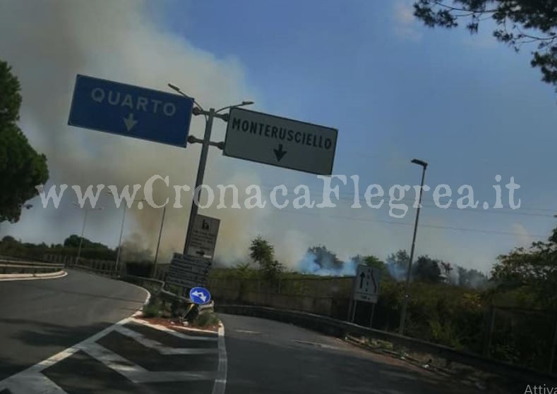 POZZUOLI/ Incendio a Monterusciello, in fiamme sterpaglie e rifiuti a bordo strada