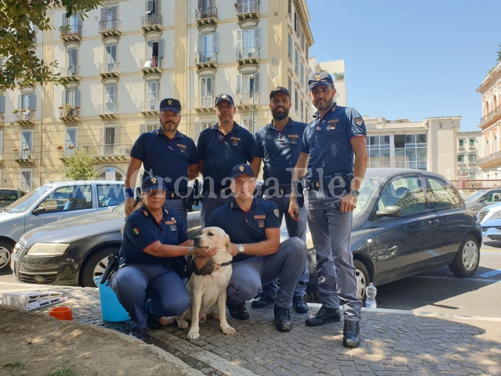 La polizia salva un cane: era chiuso in auto sotto il sole