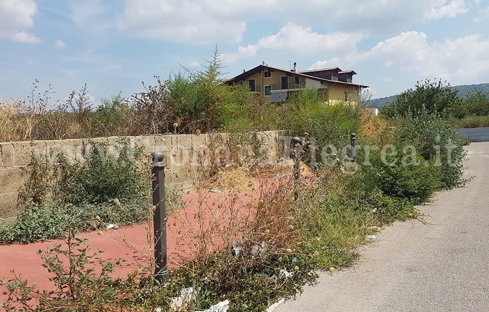 LA FOTO/ Ecco cosa resta della pista ciclabile di Quarto