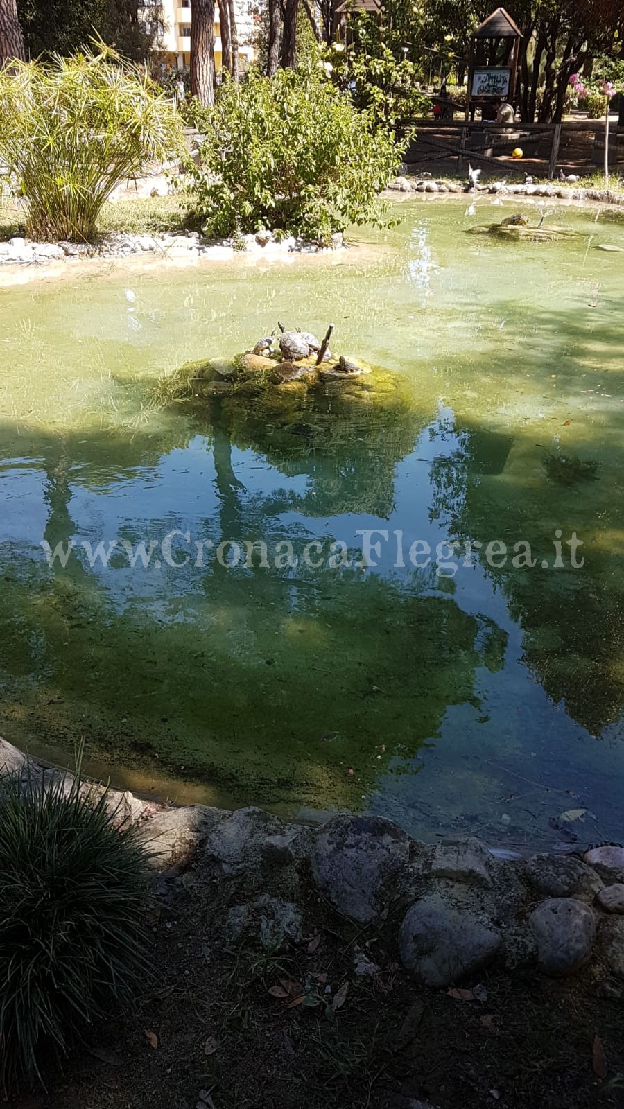 POZZUOLI/ Riparata la crepa nel laghetto di Villa Avellino