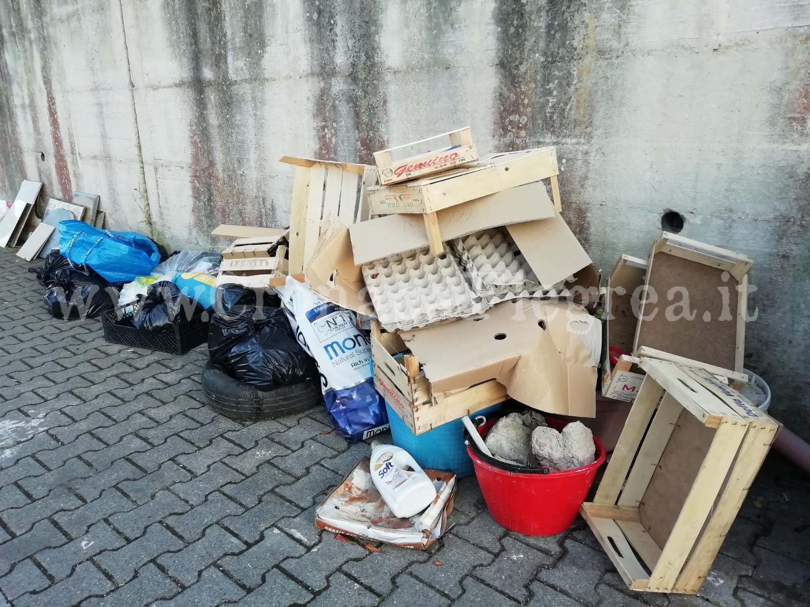 POZZUOLI/ SOS dei residenti di Monterusciello «Spazzatura, puzza e topi. Roba da terzo mondo!»