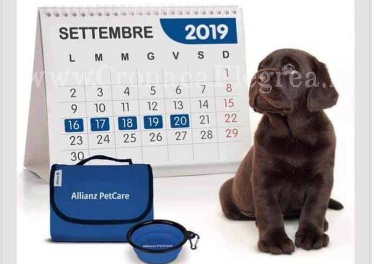 POZZUOLI/ Allianz Pet Week: in omaggio ciotola e coperta per gli amici a 4 zampe