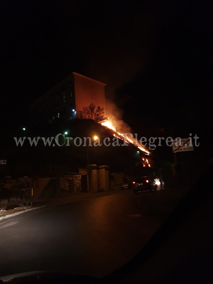 Bacoli brucia: collina in fiamme in via delle Terme Romane