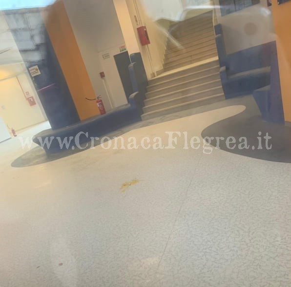 POZZUOLI/ Vandali all’Istituto Virgilio, creolina e uova nei corridoi: sospese le lezioni