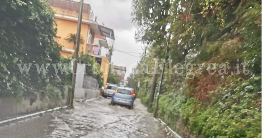 I LETTORI SEGNALANO/ «Degrado assoluto in via Cofanara!»