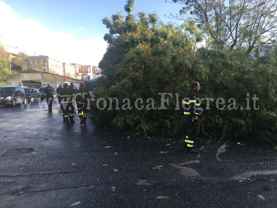 Raffiche di vento e mare agitato: nuova allerta meteo per i Campi Flegrei