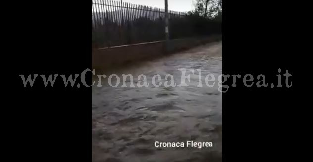 Acqua e fango: Via Cofanara completamente allagata, residenti intrappolati – IL VIDEO