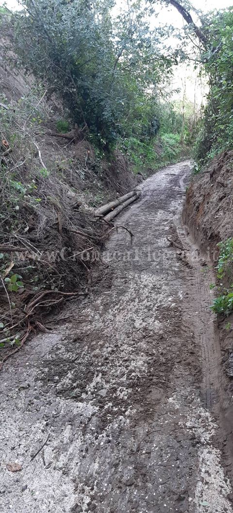 QUARTO/ Il grido d’aiuto di via Spadari: «Una strada a rischio frana come via d’uscita»