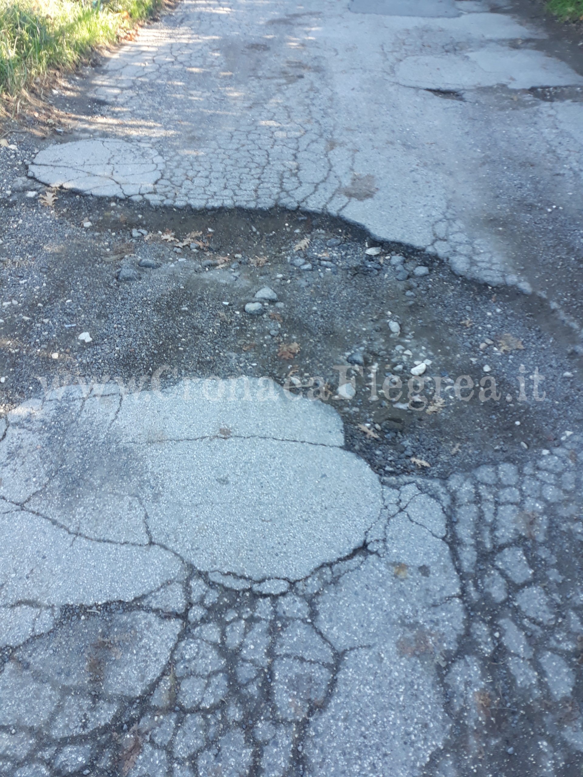 POZZUOLI/ Via Reginelle: la strada colabrodo con buche-killer – LE FOTO