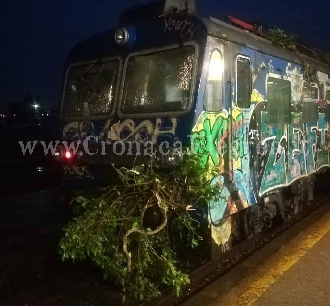 Albero danneggia motrice di un treno tra Licola e Quarto: bloccata la Circumflegrea – LE FOTO