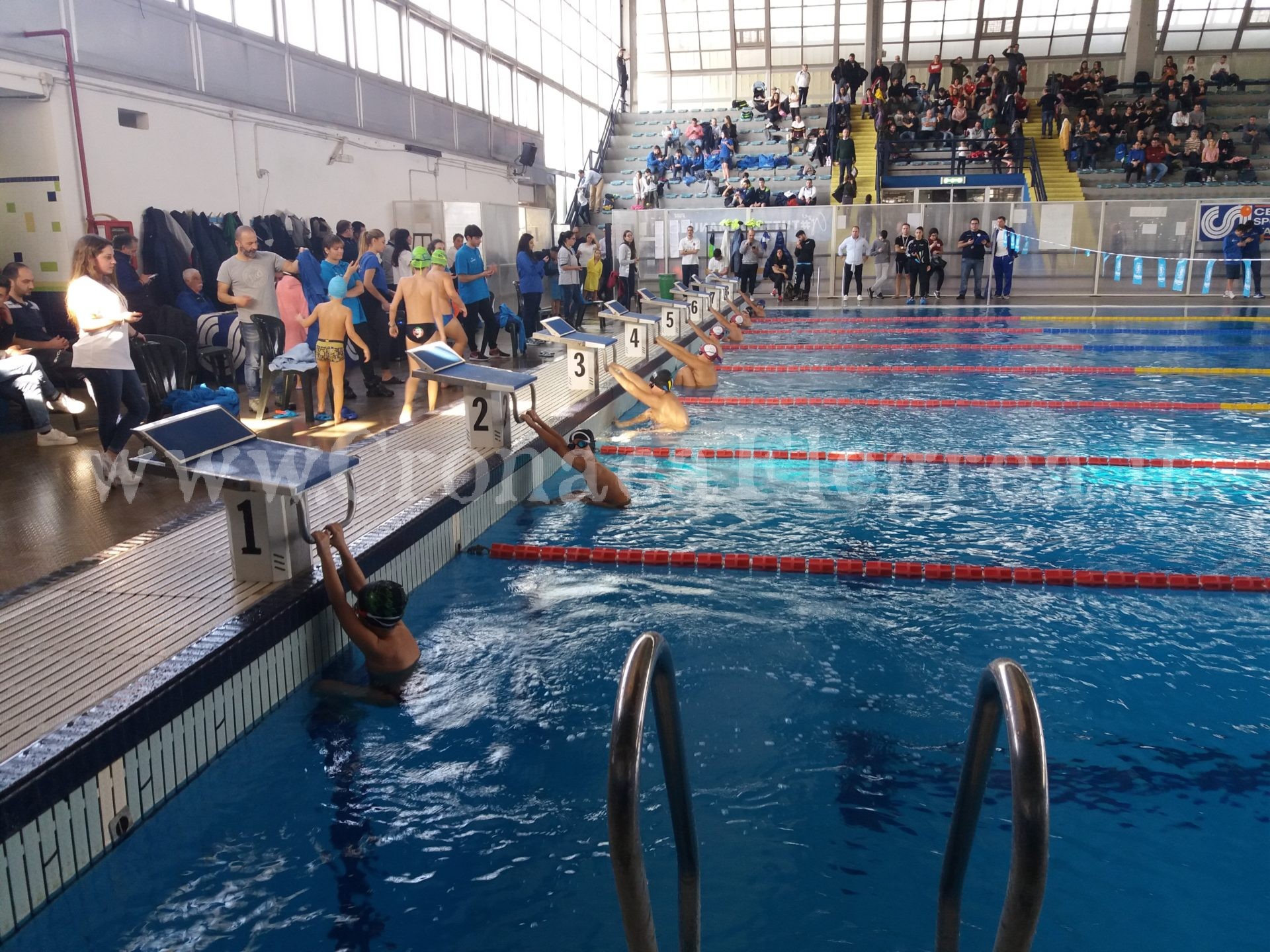 POZZUOLI/ Campionato regionale di nuoto Csi, sul podio il quartese Salvatore Urso