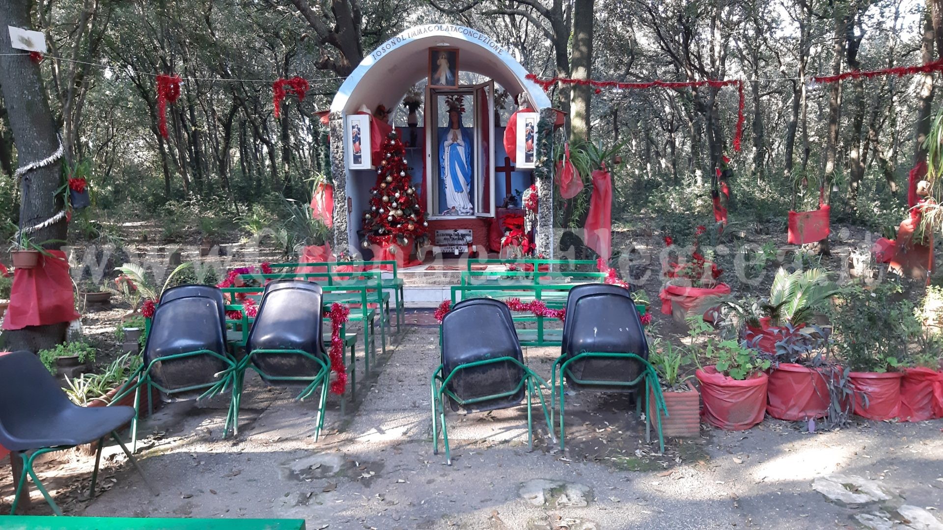 La Madonna della Foresta di Cuma: tra mito e realtà una storia di fede – LE FOTO