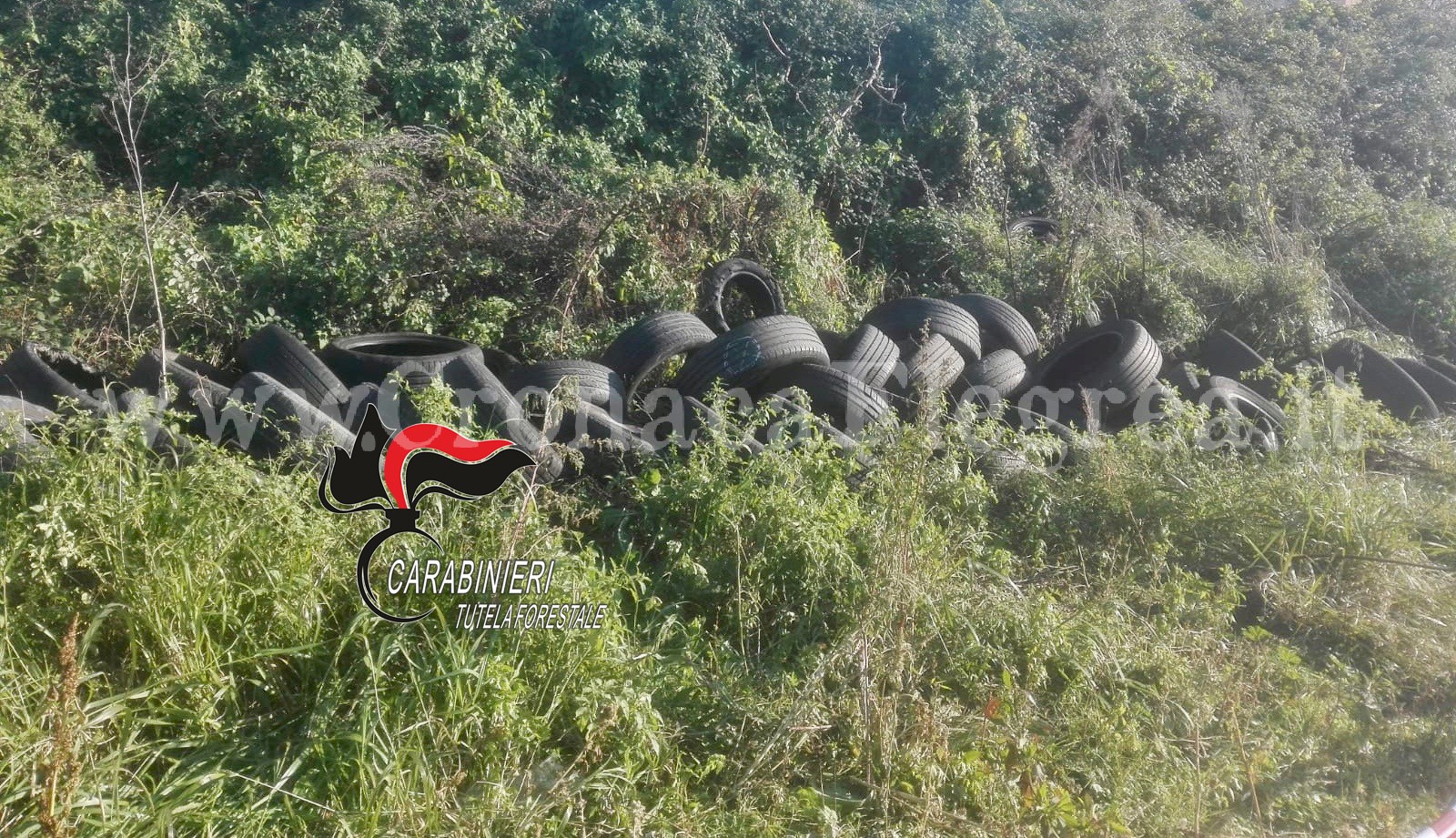 LO SCEMPIO/ Abbandonati 200 pneumatici in aperta campagna