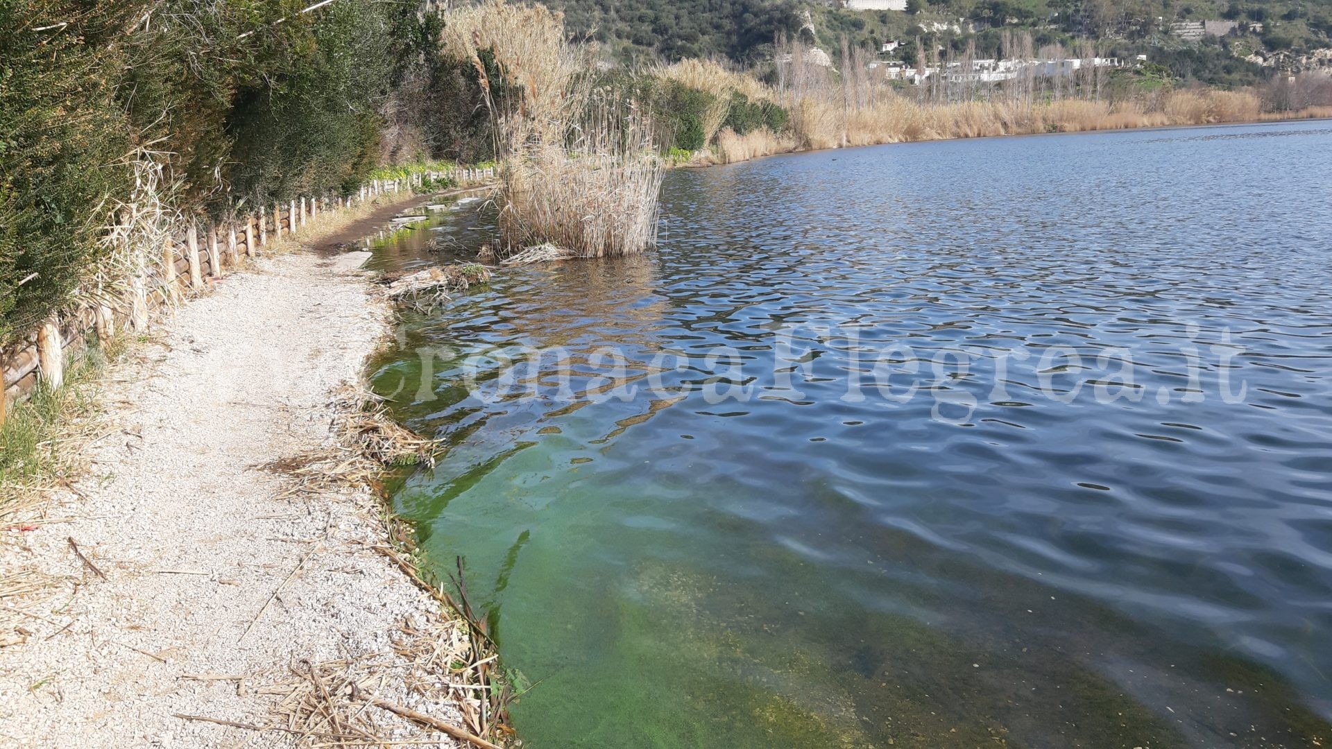 POZZUOLI/ Rifiuti di ogni genere nel Lago d’Averno «Utilizzato come discarica»