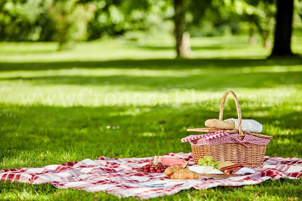 VARCATURO/ Pic-nic in un parco, denunciate 12 persone